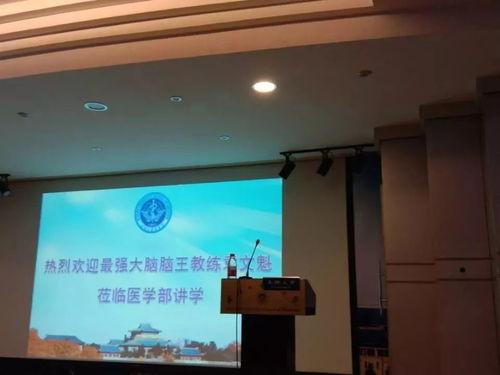 杏林逸韵,探寻中医文化的魅力与传承