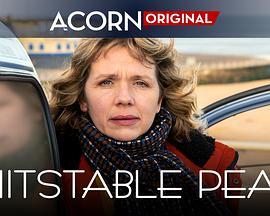 惠镇珀尔侦探社 第一季,第一季：揭开神秘面纱的探案之旅